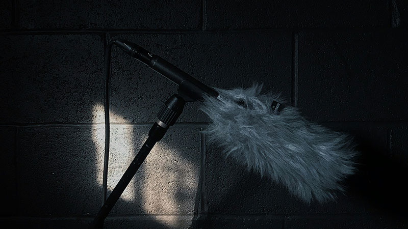 Voice casting & direction